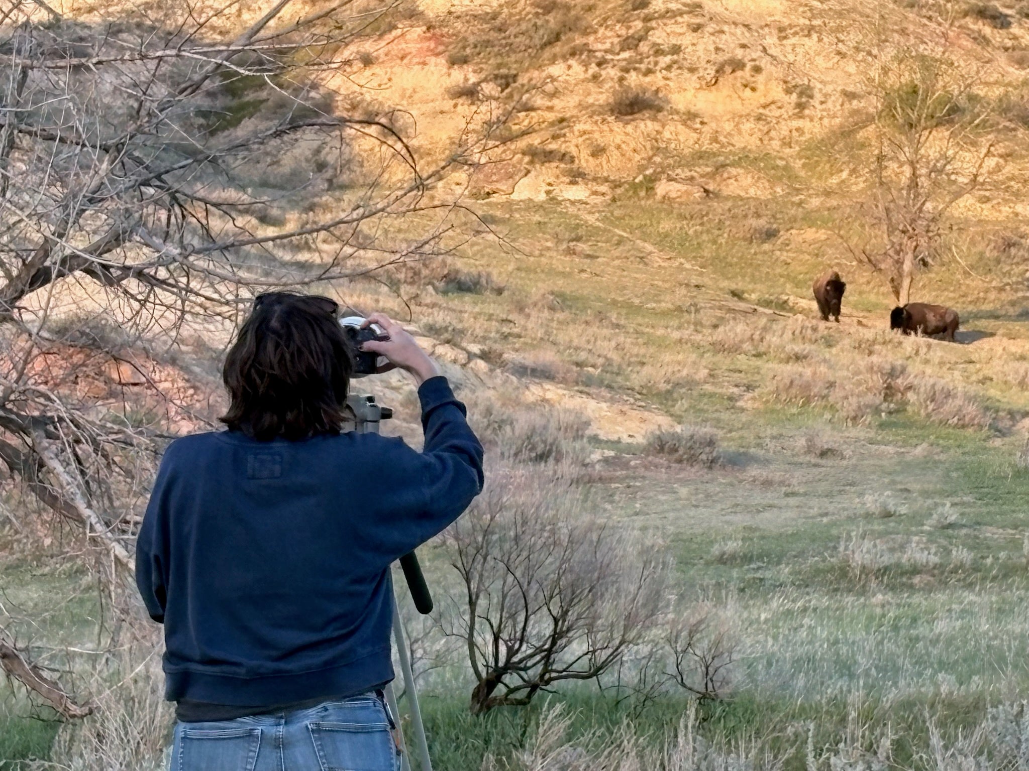 Behind the Lens: Road Trip Lessons in Filmmaking and Resilience