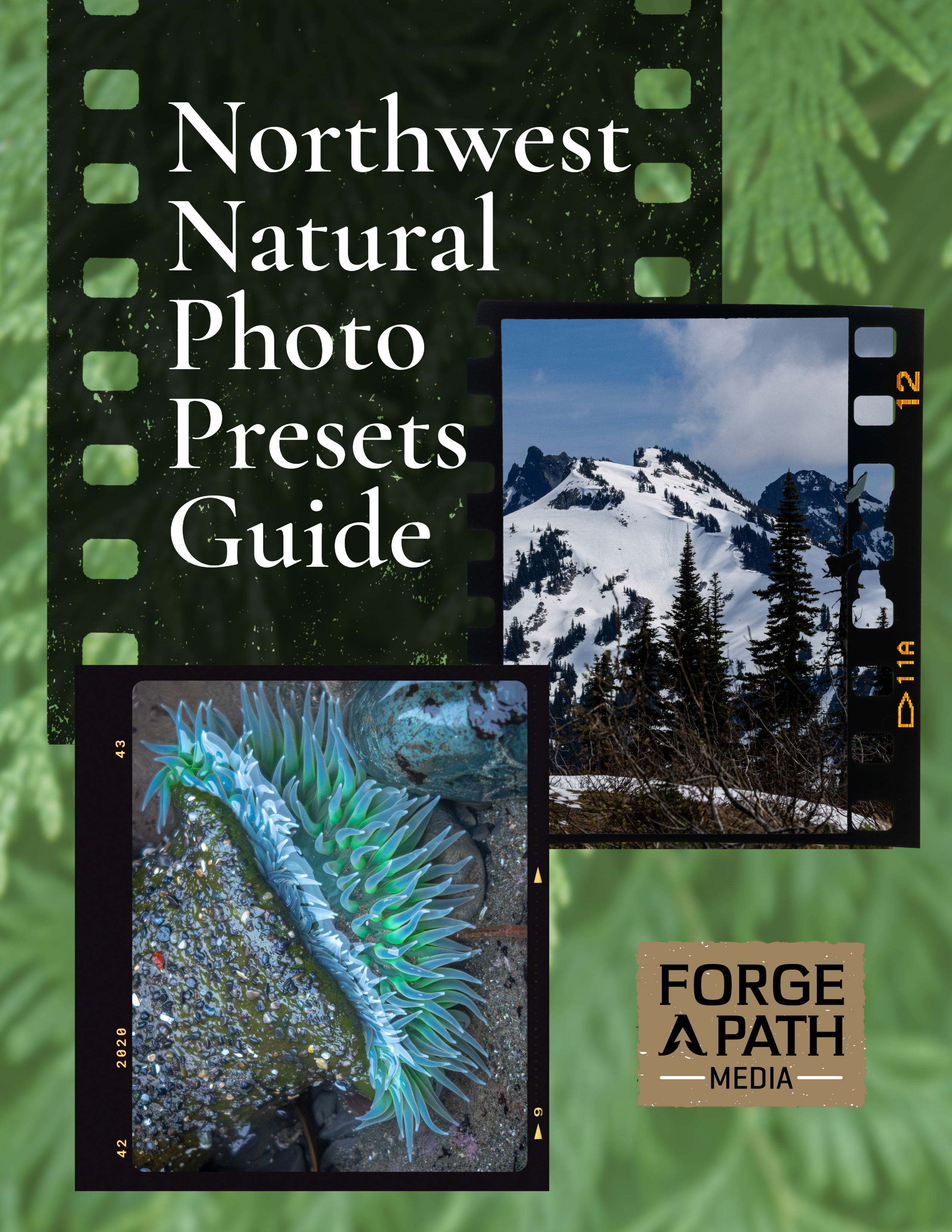 Lightroom Edit Presets: Northwest Naturals