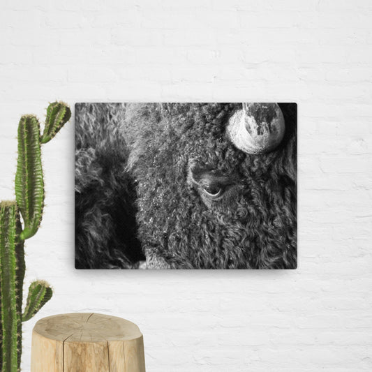 Don't Pet the Fluffy Cows, BW