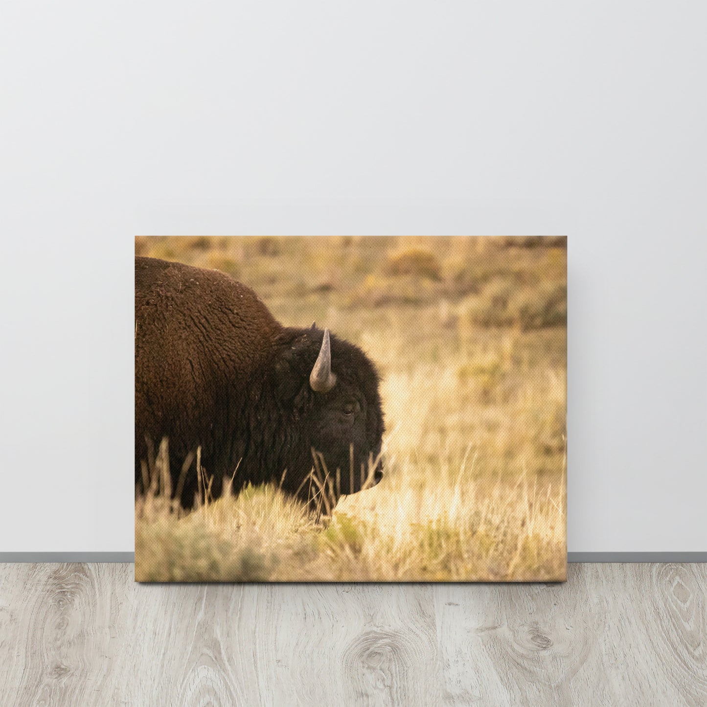 Bison in the Autumn Grass Print