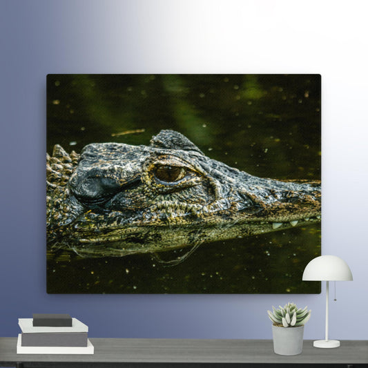 Black Caiman