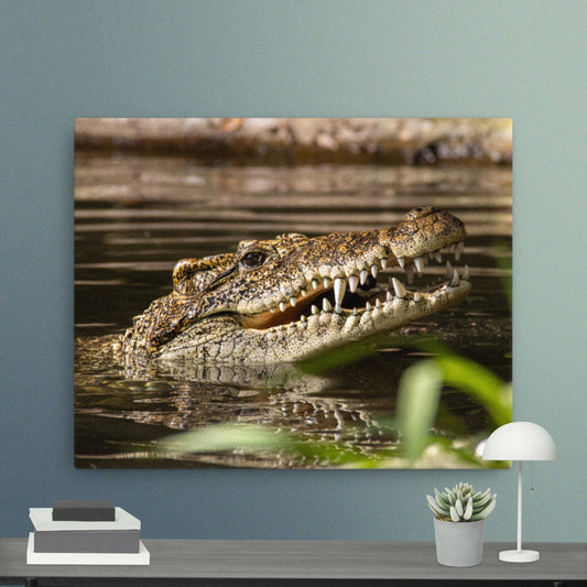 Cuban Crocodile Print