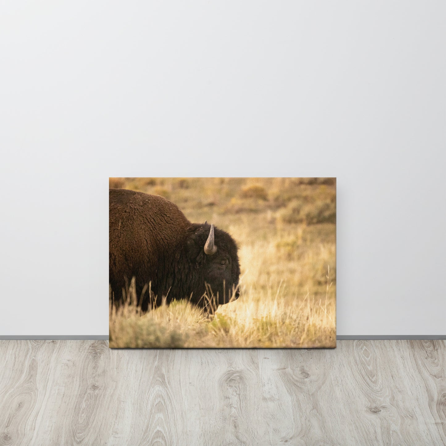 Bison in the Autumn Grass Print