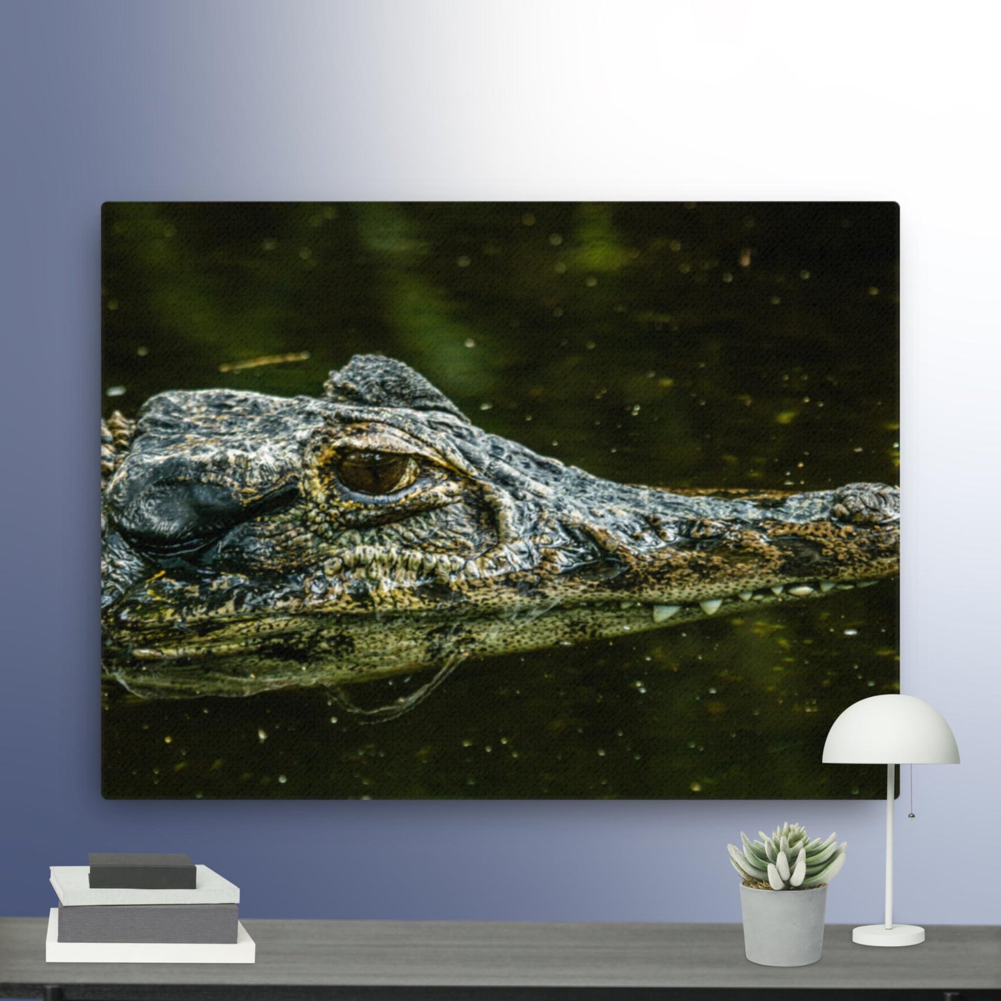 Black Caiman