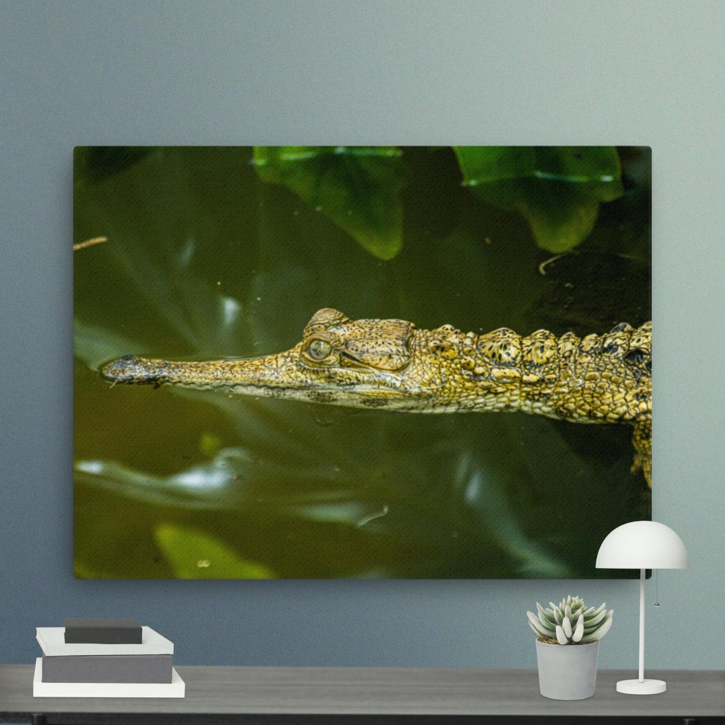 West African Slender-snouted Crocodile