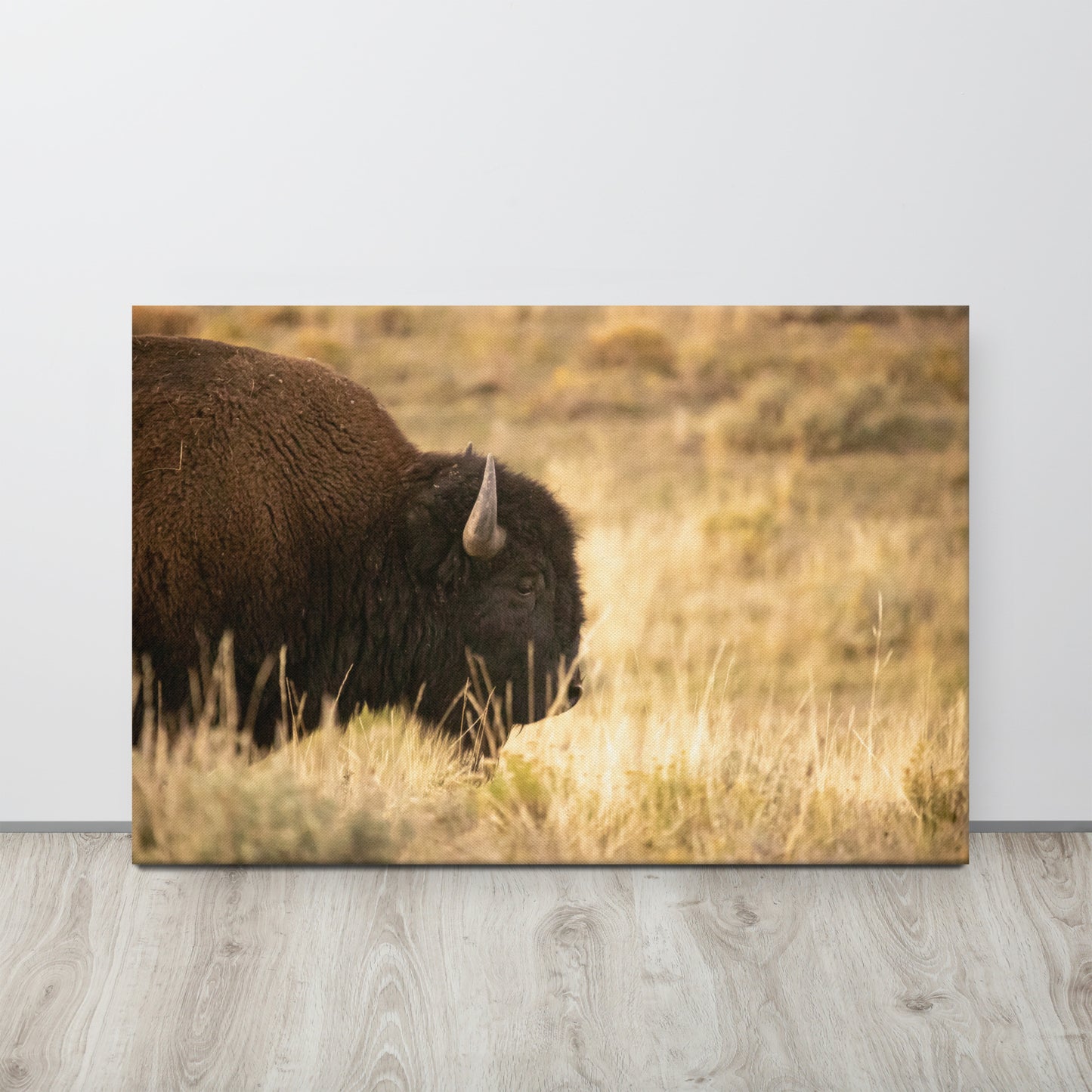 Bison in the Autumn Grass Print