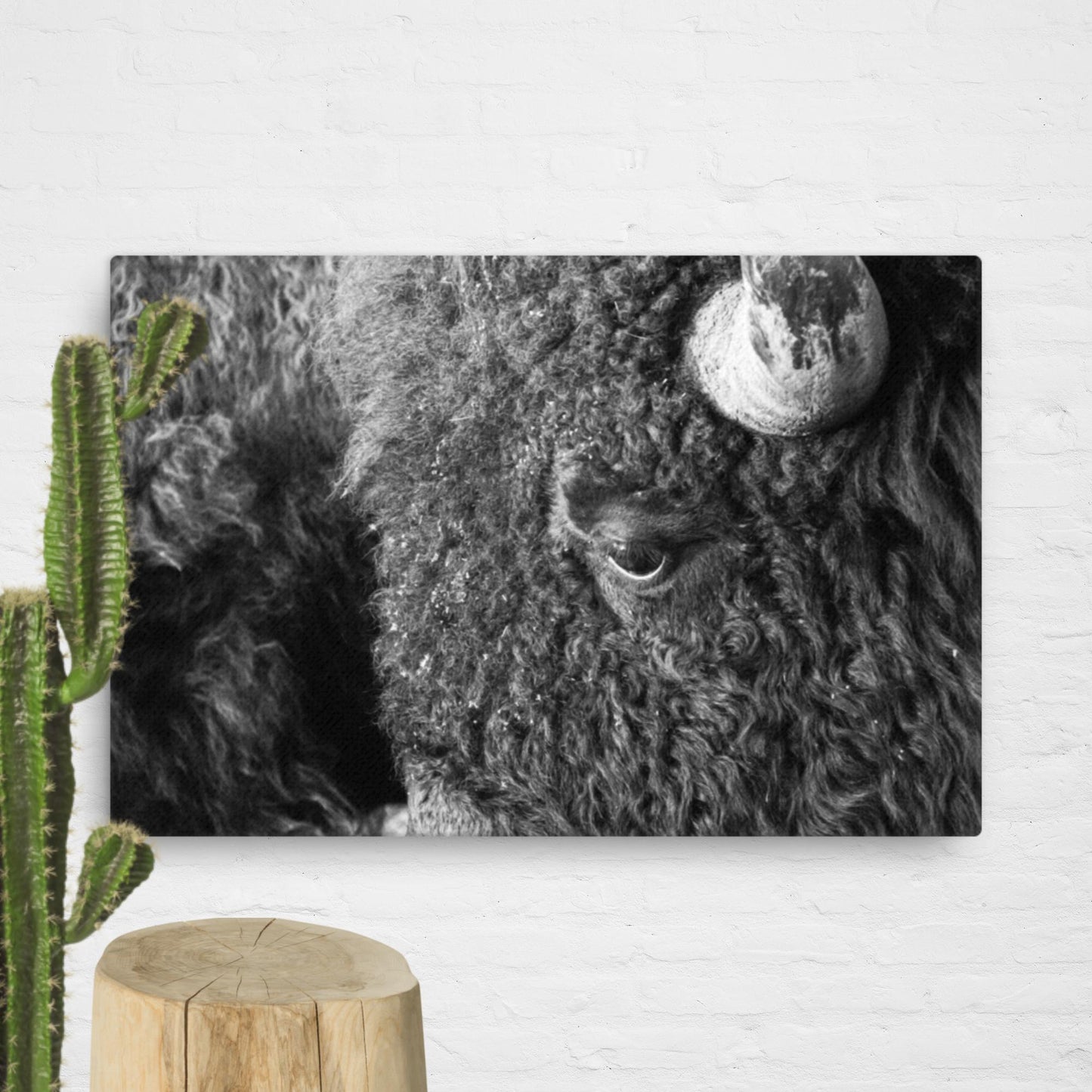 Don't Pet the Fluffy Cows, BW