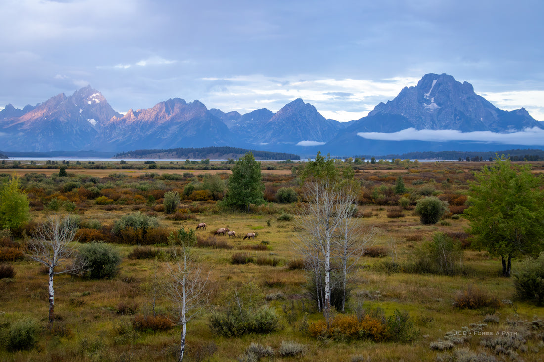 Discover the Beauty of Grand Teton National Park