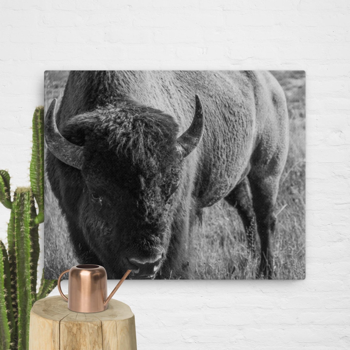 Bison in the Meadow, BW
