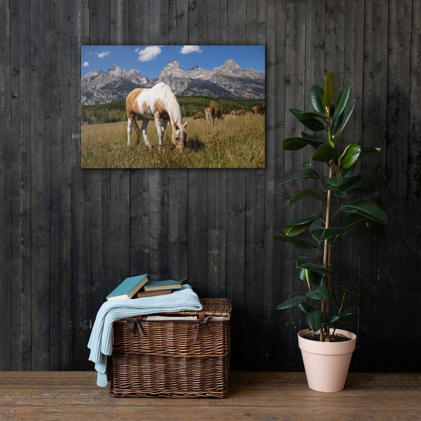 Wyoming Horses in Grand Tetons