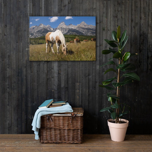 Wyoming Horses in Grand Tetons